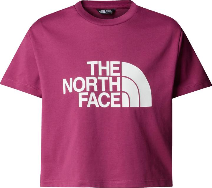 Immagine prodotto North Face G Crop Easy (S)