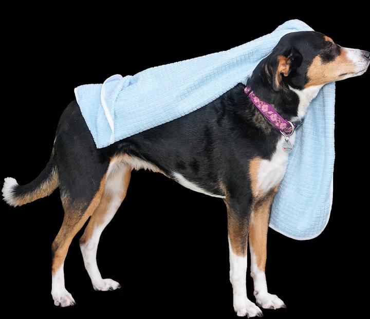 Produktbild Benke Hundetuch (Hund)
