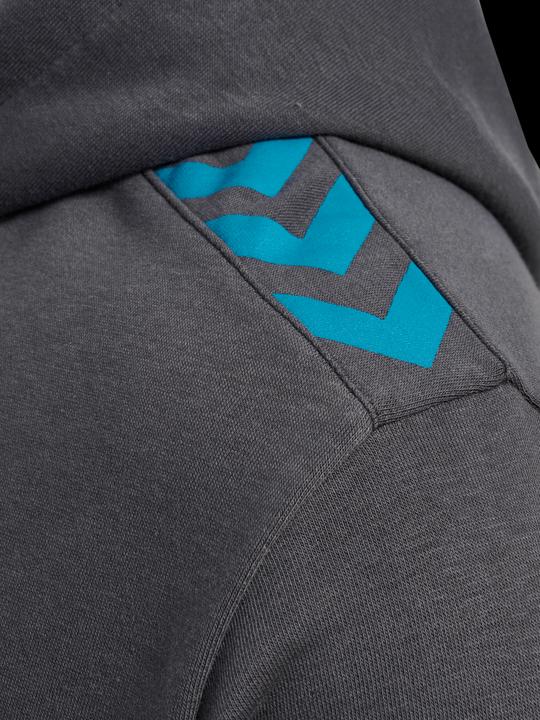 Image du produit hummel Hmlstaltic Cotton Hoodie (L)