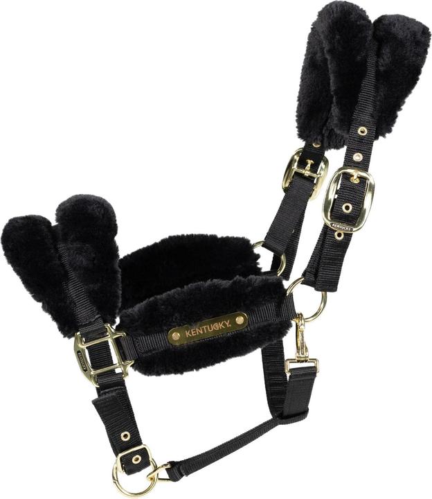 Produktbild Kentucky Horsewear gepolstertes halfter