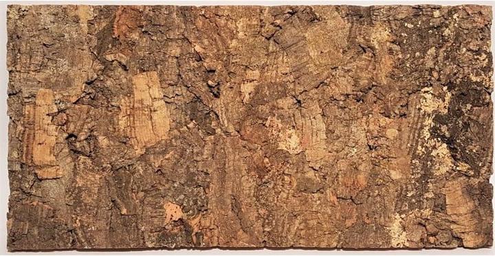 Actual product image Delphin-Amazonia Decorative cork back panel Burma, 60x30cm (2 pcs)