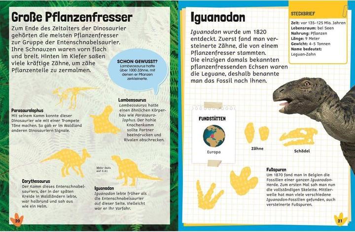 Image du produit Lexique des autocollants. Dinosaures