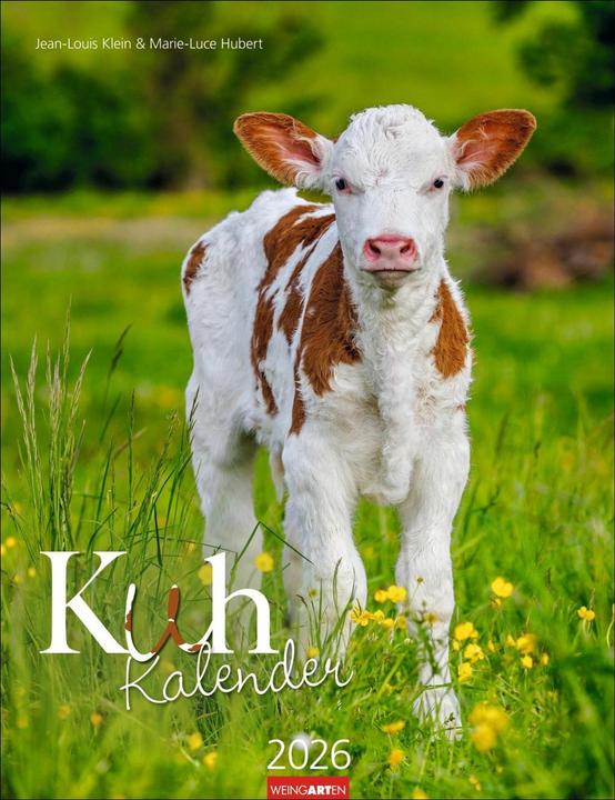 Produktbild Kuh Kalender 2026 (30 x 39 cm, Deutsch)