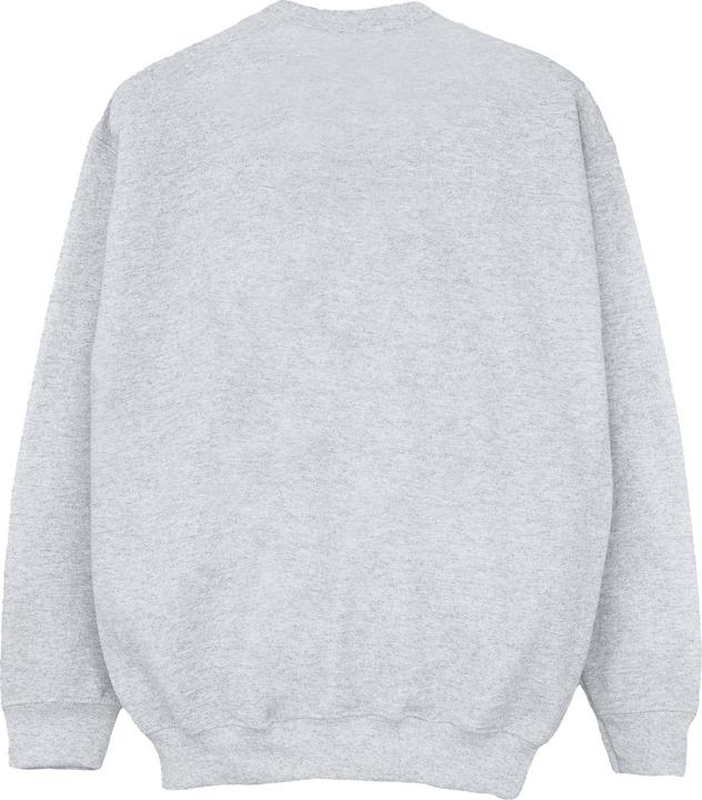 Actual product image Friends Girls Fair Isle Central Perk Sweatshirt (152, 158)