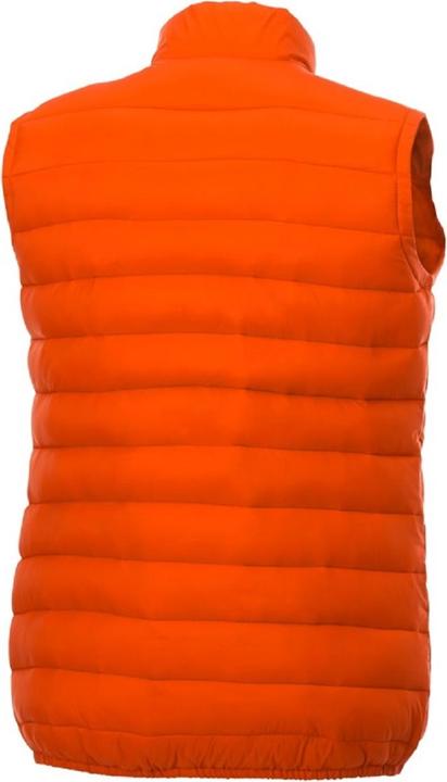 Immagine prodotto Elevate Gilet Pallas isolato (L)