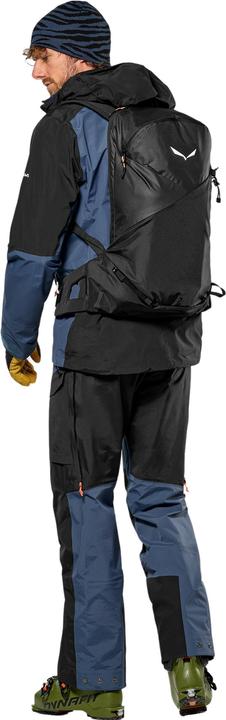 Actual product image Salewa Sella Free L (22 l)