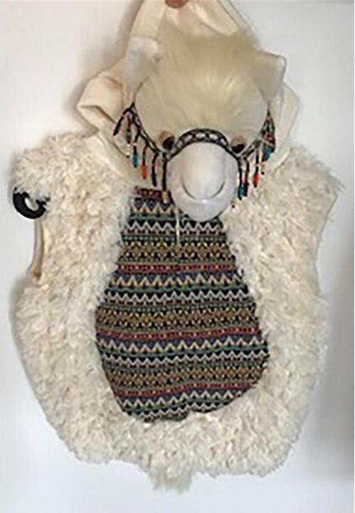 Produktbild Fasnacht Lama (104, 110)