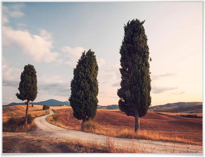 Actual product image Trenddeko Three cypresses along the way (30 x 24 cm)