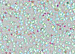 Actual product image Marabu Window Color Fun & Fancy (glitter ice cream, 80 ml)