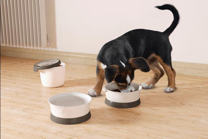 Actual product image Curver Petlife Food Travelkit