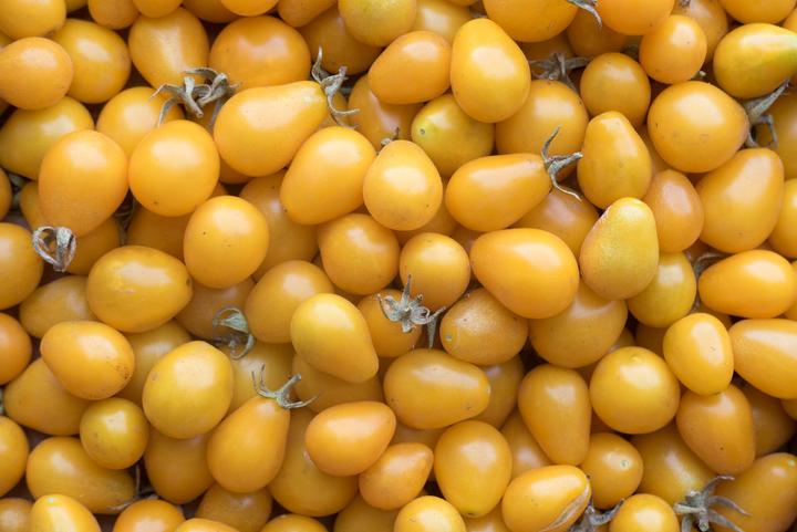 Image du produit Living Seeds Tomate cerise, yellow Submarine (Graines de légumes)