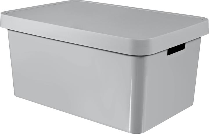 Image du produit Curver Infinity (57 x 39 x 27 cm, 45 l)