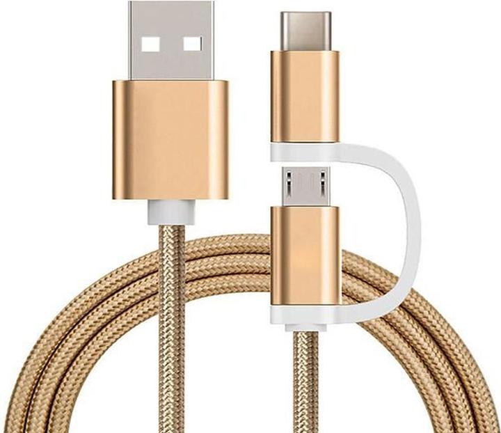 Reekin Ladekabel 2in1 USB Micro & Type C (1 m, USB 2.0)