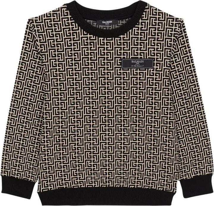 Image du produit Balmain Sweatshirt (12)