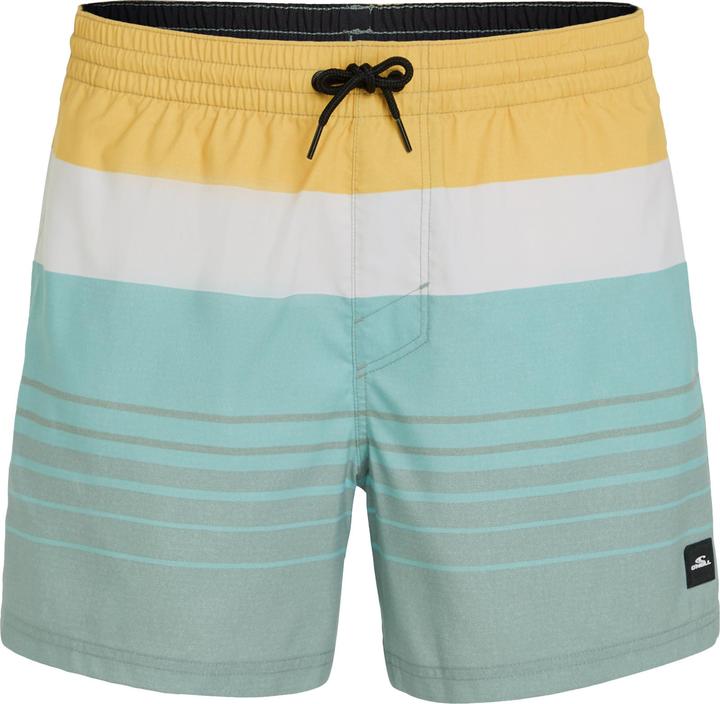 O'Neill MIX & MATCH CALI PRINT 15" SWIM SHORTS (S)