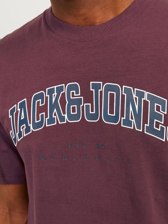 Actual product image Jack & Jones Jjecaleb Varsity Tee Ss O-Neck Noos (XS)