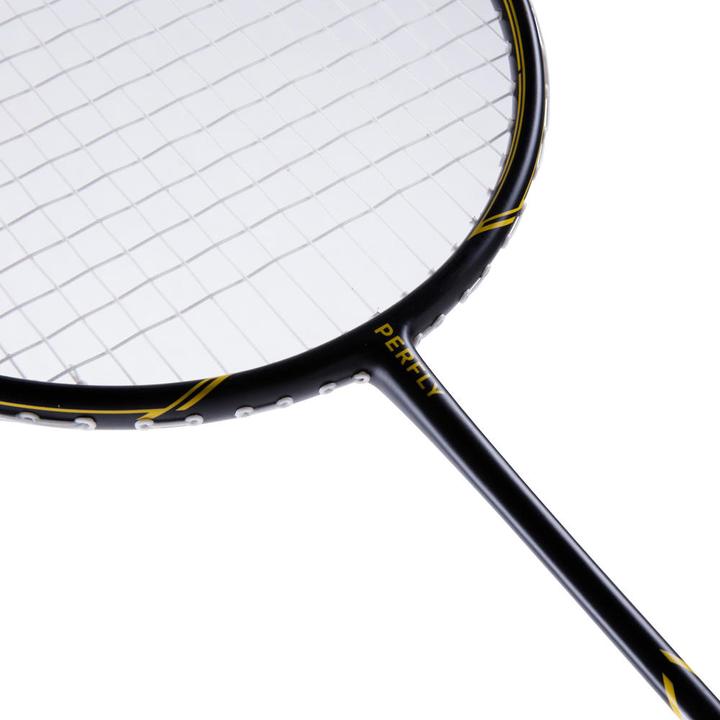 Actual product image Perfly BR 500