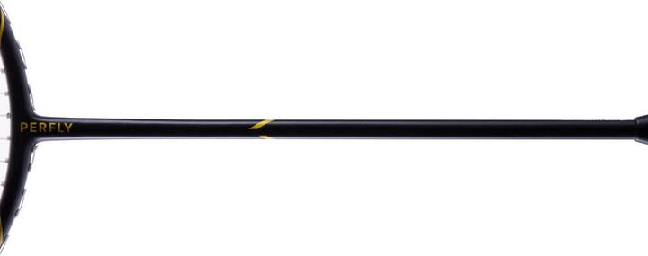 Actual product image Perfly BR 500