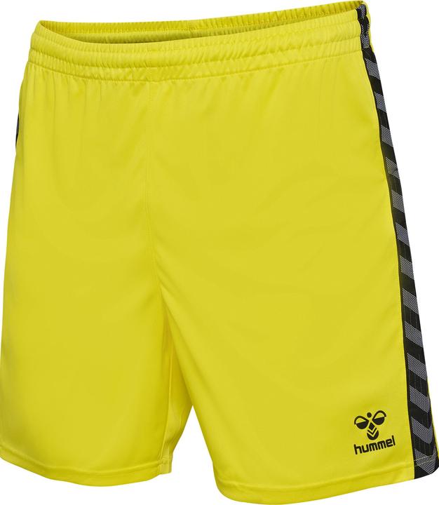 hummel Hmlauthentic Pl Shorts