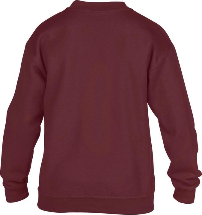 Image du produit Gildan Sweat-shirt à col rond (M)