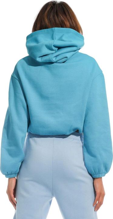 Actual product image Light and Shade Womens/Ladies Cropped Hoodie (L)