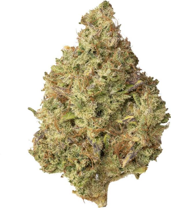 Image du produit Hi Lab Lemon Haze (4 g, Intérieur)