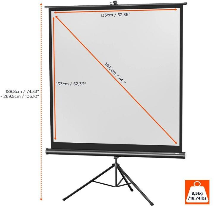 Actual product image Celexon Eco tripod, screen, 1:1 (74.02", 1:1)