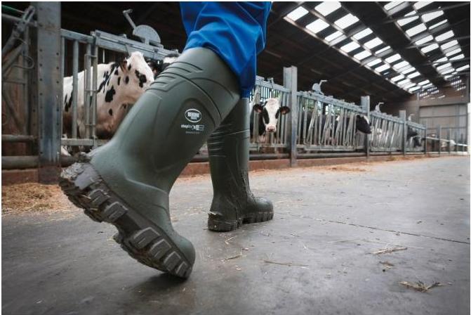 Actual product image Kerbl Safety boots S5 Bekina Steplite XCI Winter (39)