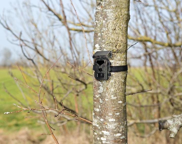 Actual product image VisorTech Wildkamera mit Solarpanel