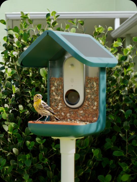 Actual product image Bird Buddy Food dispenser