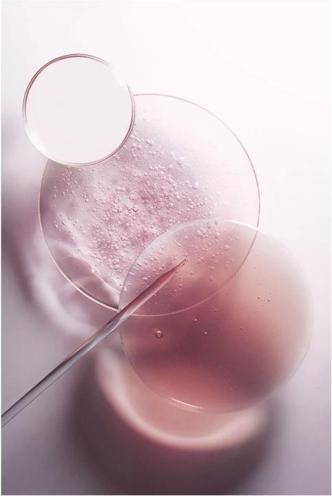 Image du produit Kérastase Chroma Absolu Bain Chroma Respect (250 ml, Shampoing liquide)