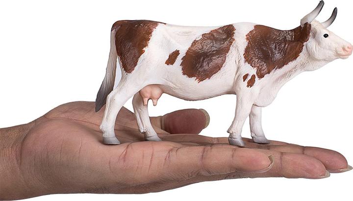 Actual product image Mojo Simmental cow