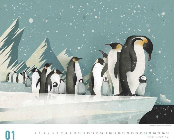 Produktbild Dieter Braun: Die Welt der Tiere 2025 – Wandkalender – Format 60 x 50 cm (Harter Einband, Deutsch)