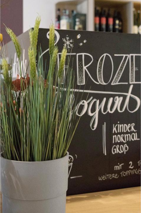 Productafbeelding Europalms Tarwe vroege zomer (60 cm)