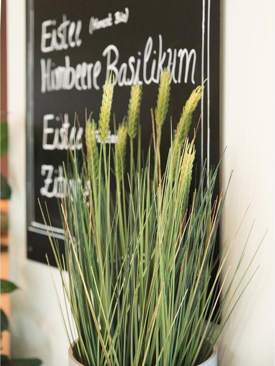 Productafbeelding Europalms Tarwe vroege zomer (60 cm)