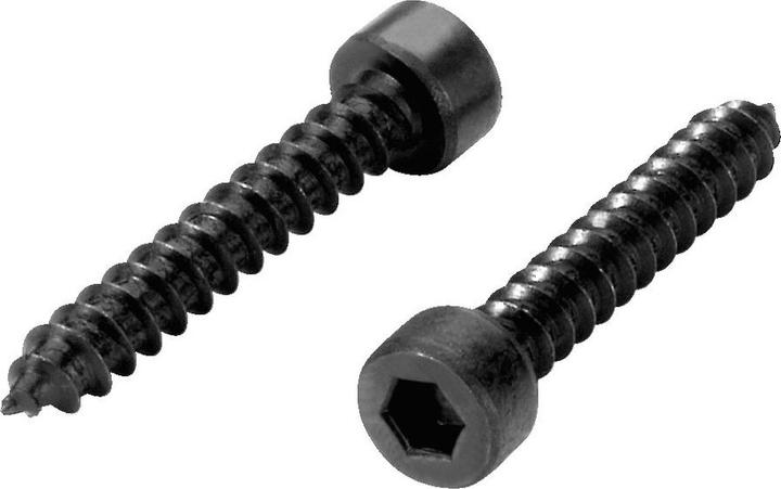 Actual product image Monacor Innensechskant - wood screws 4x25mm 16 pcs