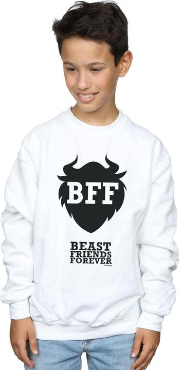 Produktbild Disney Wreck It Ralph Belle's Shirt Sweatshirt Jungen (152, 158)