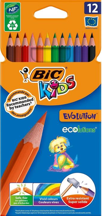 Bic Kids L'evoluzione (Ordinati, 12 x)