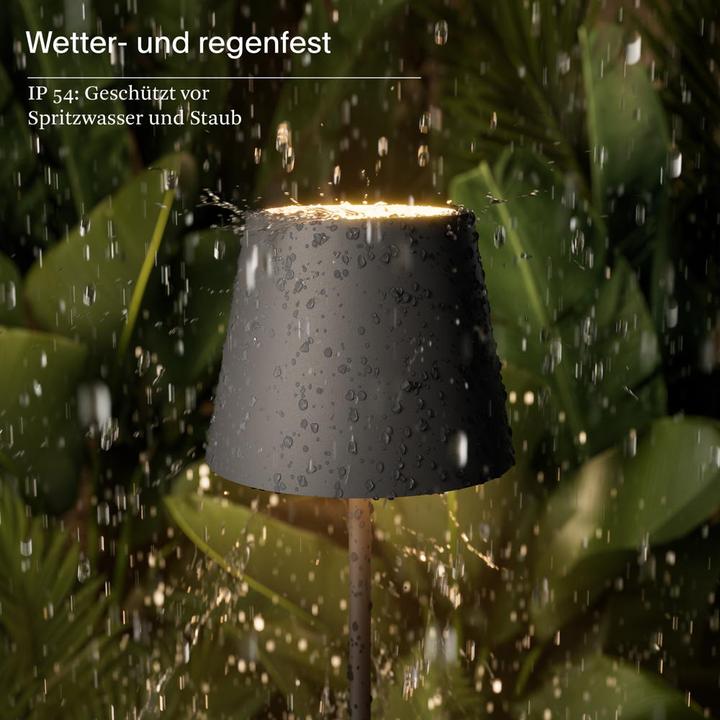 Image du produit Sigor Nuindie (197 lm)