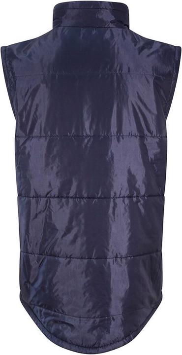 Image du produit Pro RTX Bodywarmer Pro (XXL)