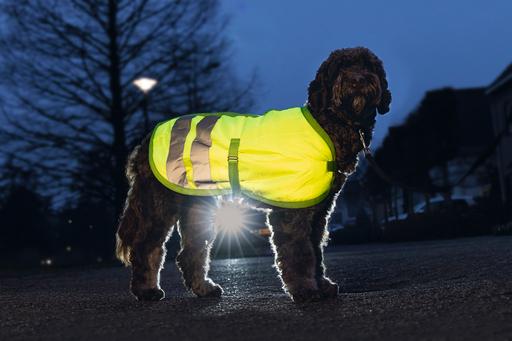 Produktbild Beeztees Bz Sg Hundemantel Teddie Refle (L, Hundemantel)