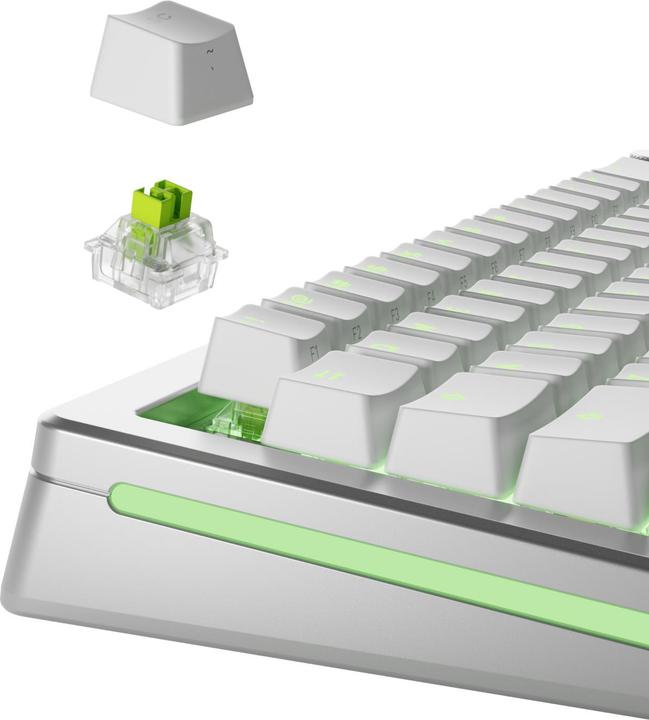 Actual product image Glorious HE Switches (36pcs) - Raptor - Lubed - (Clicky) 55g