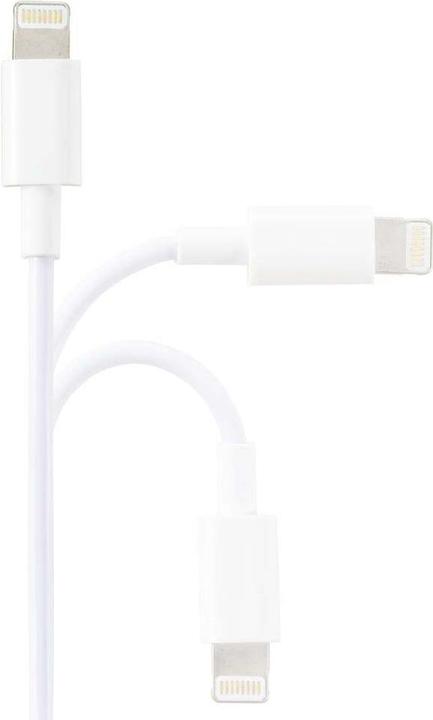Produktbild Renkforce USB A — Lightning (3 m, USB 2.0)