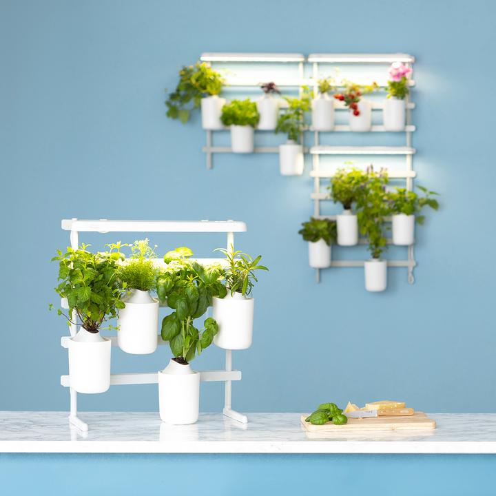 Actual product image Prêt à Pousser Modulo 2 (30.50 cm)