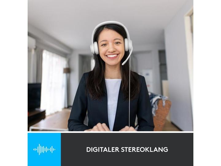 Produktbild Logitech H390 (Kabelgebunden, USB-A)