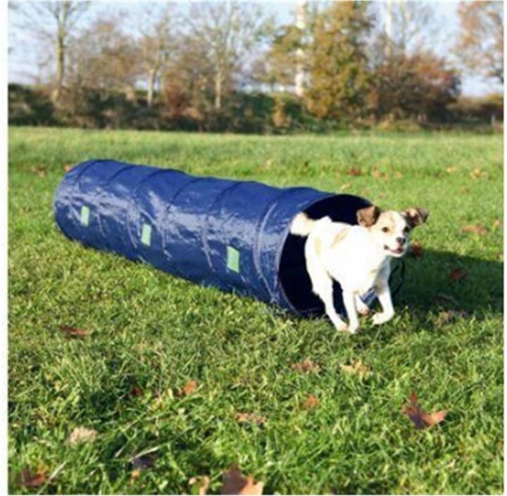 Immagine prodotto Trixie Tunnel di agilità per attività canine (Destrezza)