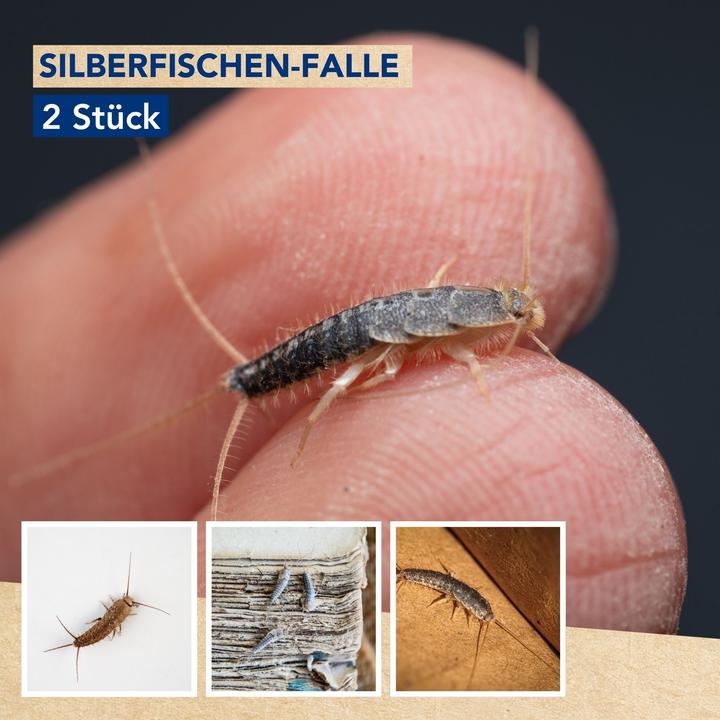 Productafbeelding Edialux Green Choice - Zilvervisjesval, 2 stuks