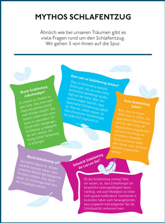 Actual product image Das Besser-schlafen-Prinzip (German, Prof Dr Dr med Kai Spiegelhalder, 2024)