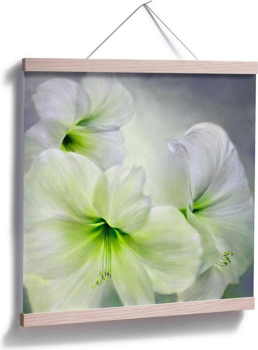 Actual product image Trenddeko White amaryllis (60 x 60 cm)