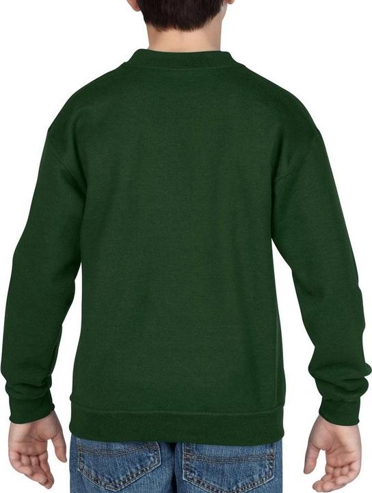 Actual product image Gildan Sweatshirt With Crew Neck (2 Piece Pack) (S)